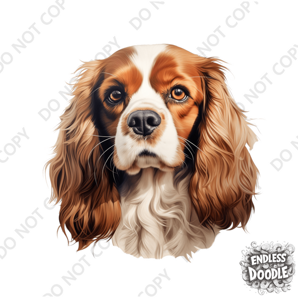 Cavalier King Charles Spaniel Dog DTF Transfer Gift Iron On Transfer Do it Yourself Heat Press for Clothing T Shirt Any Material Long Lasting (KCCS047)