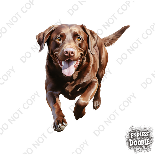 Labrador Dog DTF Transfer Gift Iron On Transfer Do it Yourself Heat Press Hot Cold Peel for Clothing T Shirt Any Material Long Lasting (LABCHOC009)