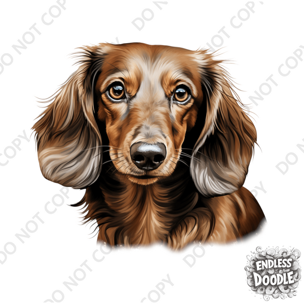 Dachshund Dog DTF Transfer Gift Iron On Transfer Do it Yourself Heat Press Hot Cold Peel for Clothing T Shirt Any Material Long Lasting (DACH050)