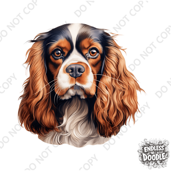Cavalier King Charles Spaniel Dog DTF Transfer Gift Iron On Transfer Do it Yourself Heat Press for Clothing T Shirt Any Material Long Lasting (KCCS038)