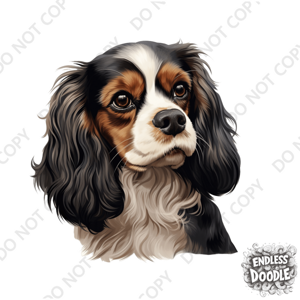Cavalier King Charles Spaniel Dog DTF Transfer Gift Iron On Transfer Do it Yourself Heat Press for Clothing T Shirt Any Material Long Lasting (KCCS026)